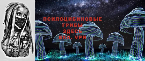 mdpv Каменногорск