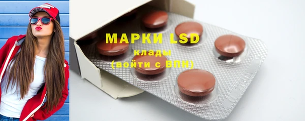 mdpv Каменногорск