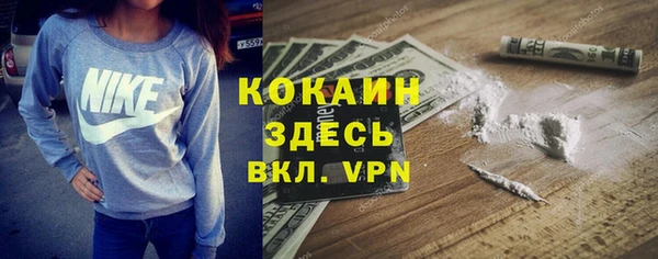 мяу мяу мука Каменка