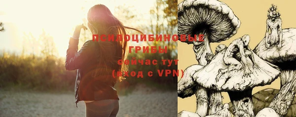 mdpv Каменногорск