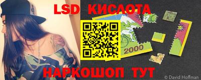 стаф Кандалакша