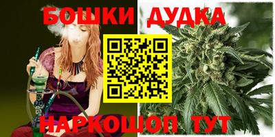 МДПВ Камышлов