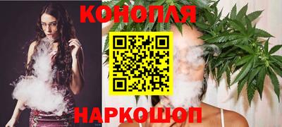 МДПВ Камышлов