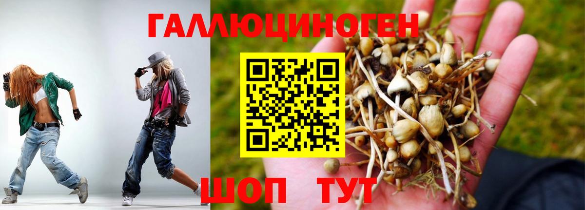 хочу   Псилоцибиновые грибы мухоморы  Вход с VPN  Галлюциногенные грибы Cubensis  Пушкино 