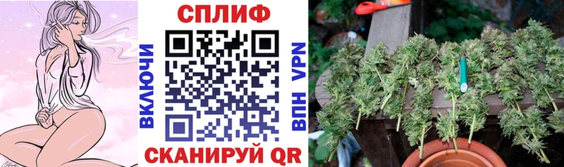 где купить   Пушкино  Канабис LSD WEED 